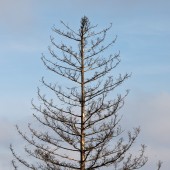 Jesienne, paralotniowe klimaty w Grzmiącej