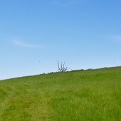 Bukowiec - Klina Hike, fly już było.