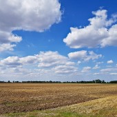 Lądowanie pod Strzelinem