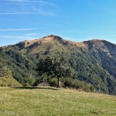 Tolmin - Kobala - Stol, Widok ze startowiska na Kobali.