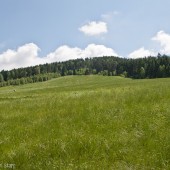 Jaworzynka, szkolna ale całkiem stroma górka.