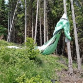 Grzmiąca Paragliding Fly, Skrzydło tylko stabilem zaczepiło o korę.