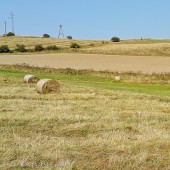 Kopalnia Grzędy - to mnie zaniosło.