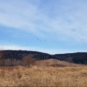 Mieroszów Paragliding Fly, Coroczny marcowy super warun na Monte Muero