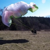 Paragliding Fly