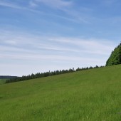 Lądowanie pod Czeszką., Lądowanie pod Bukowcem