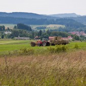 Sianokosy na "krowiarni"