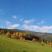 Tak ładnie, a tak nie nosi.